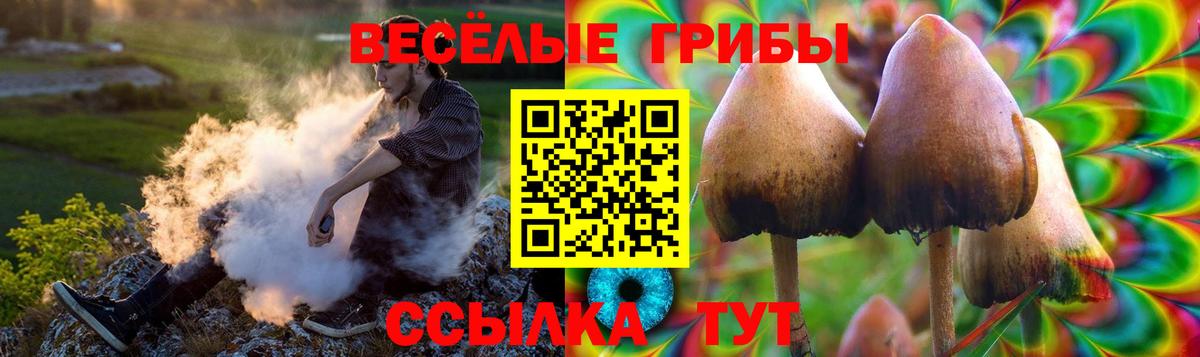 Псилоцибиновые грибы Psilocybine cubensis Норильск